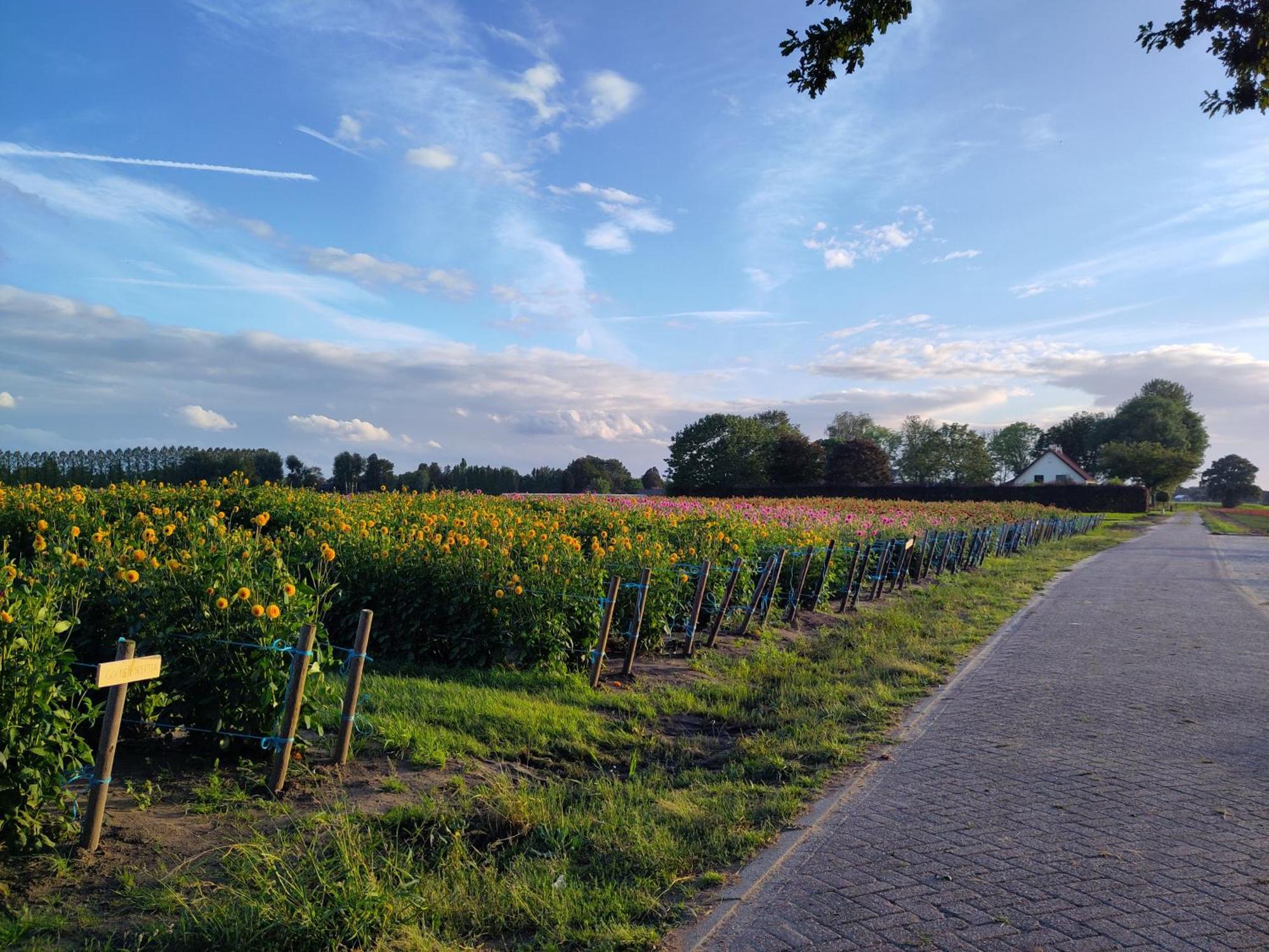 Bed and Breakfast 'T Voske Zundert Exterior foto